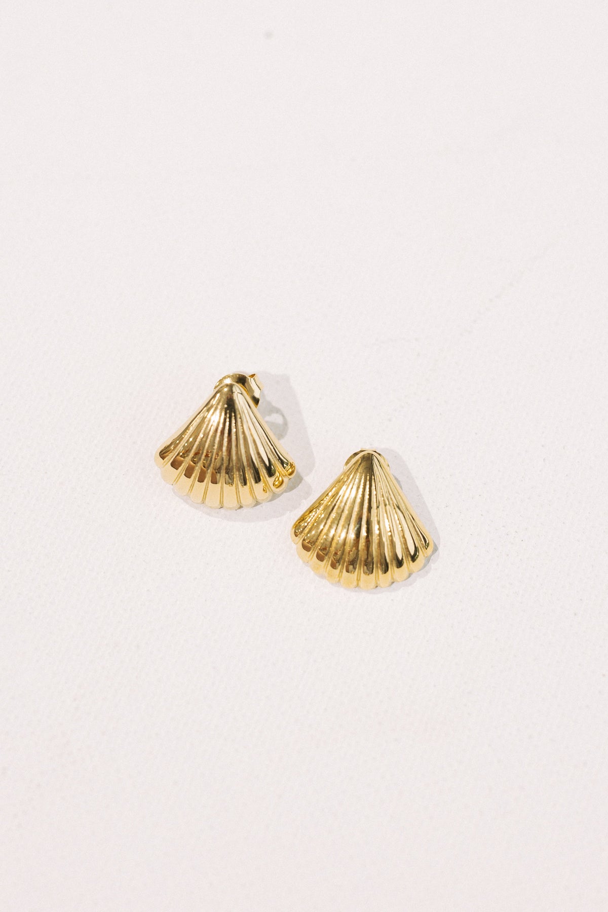 Seashell Earrings || Small