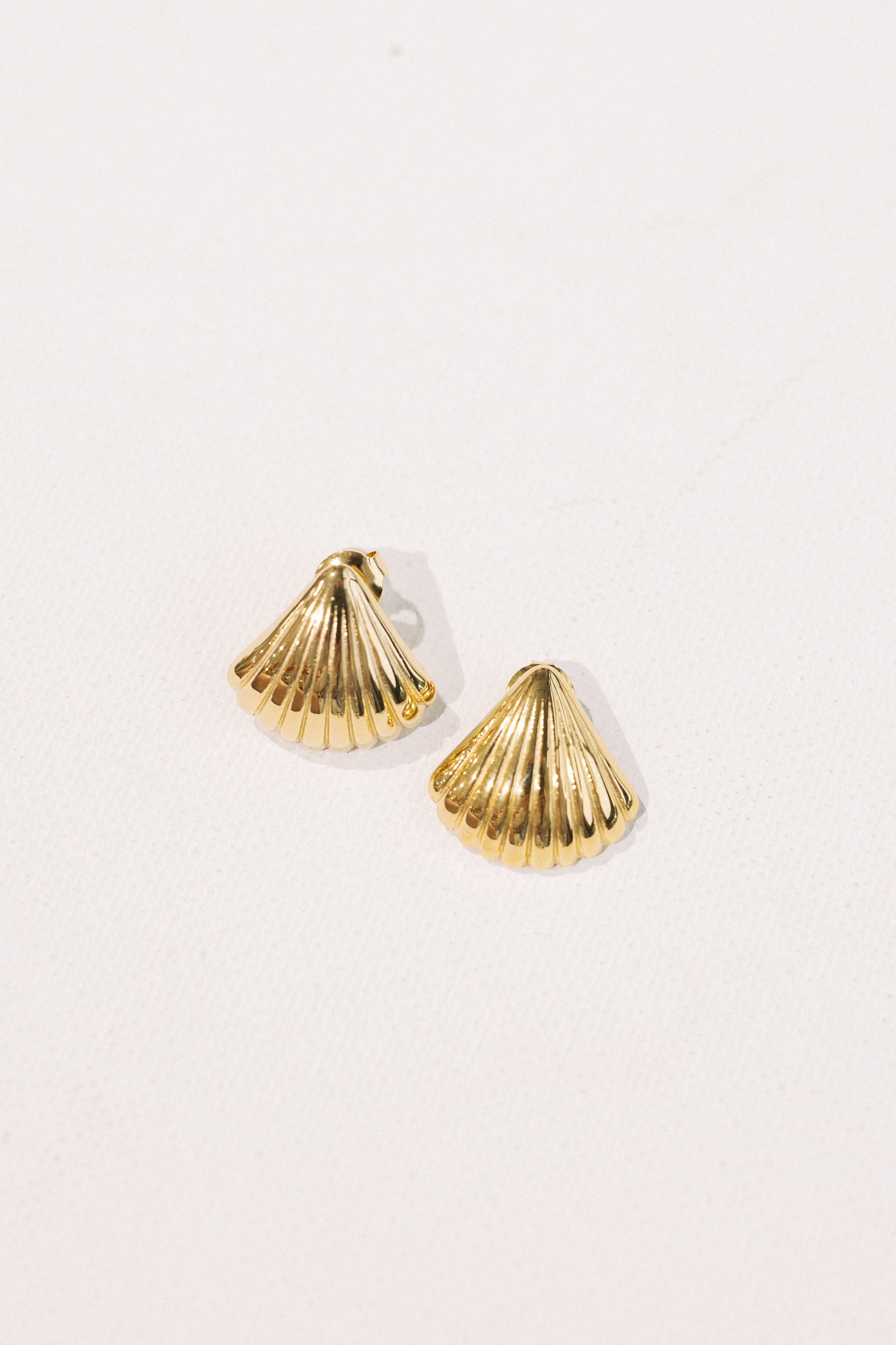Seashell Earrings || Small