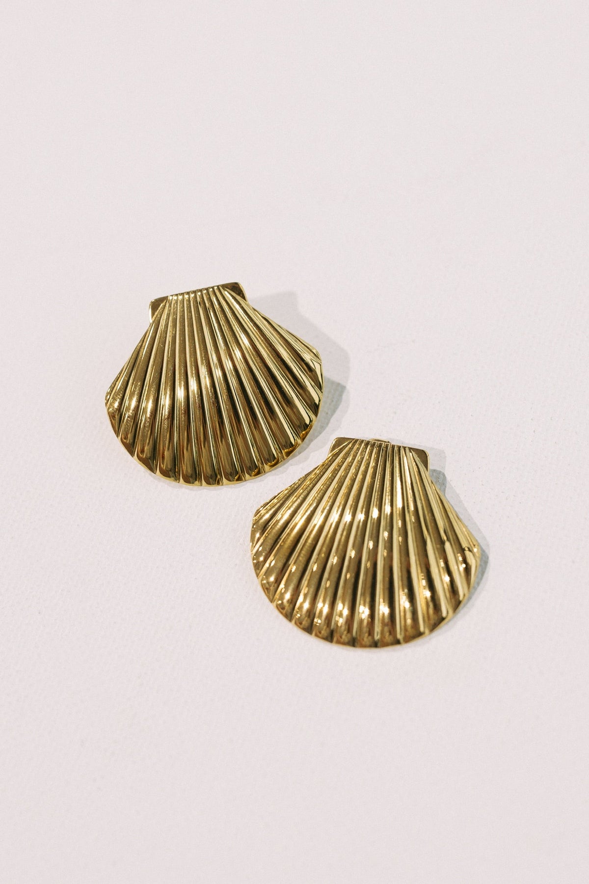 Seashell Earrings || Large