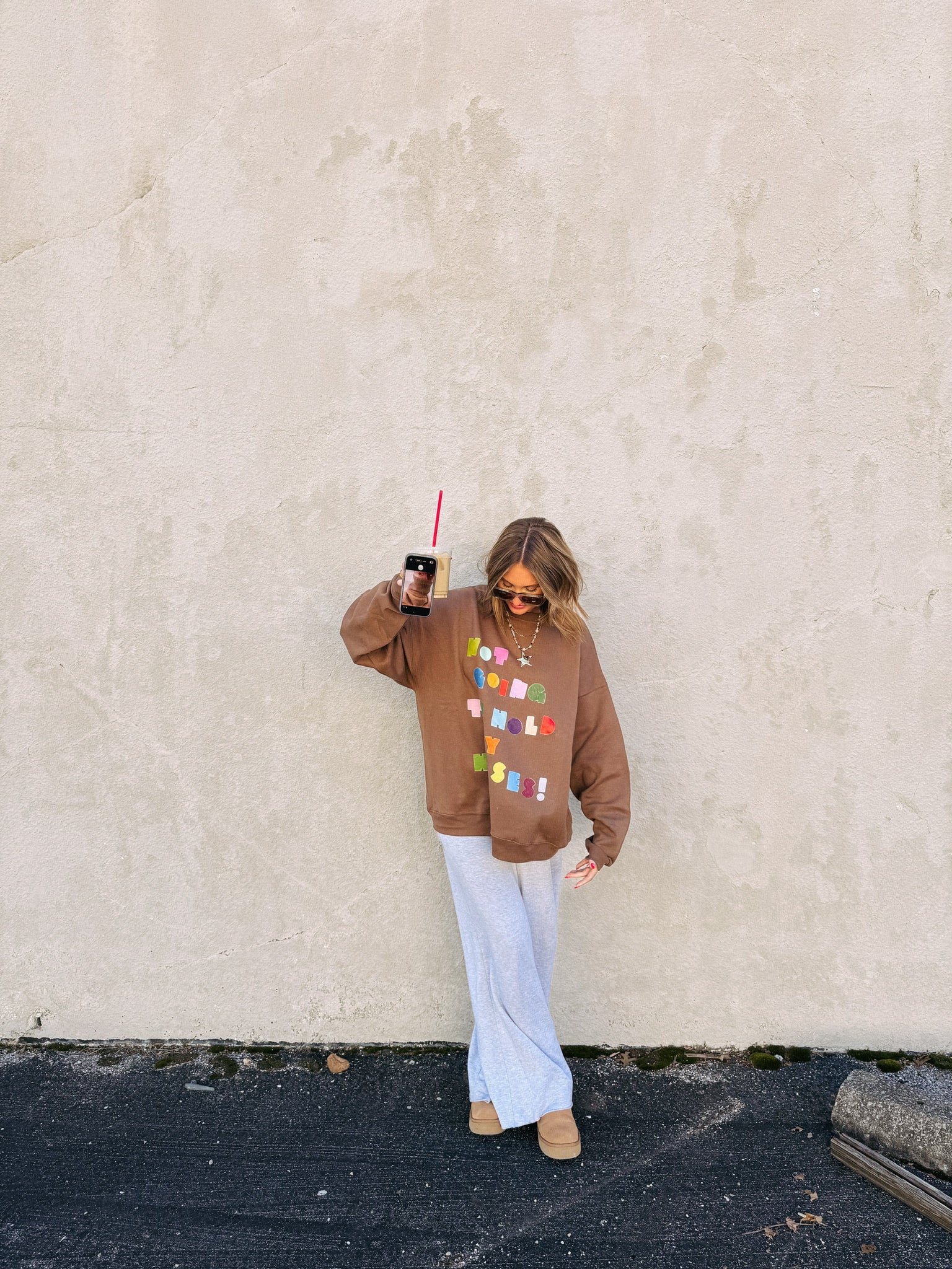 Not Gonna Hold My Horses Sweatshirt - Hanes / Brown