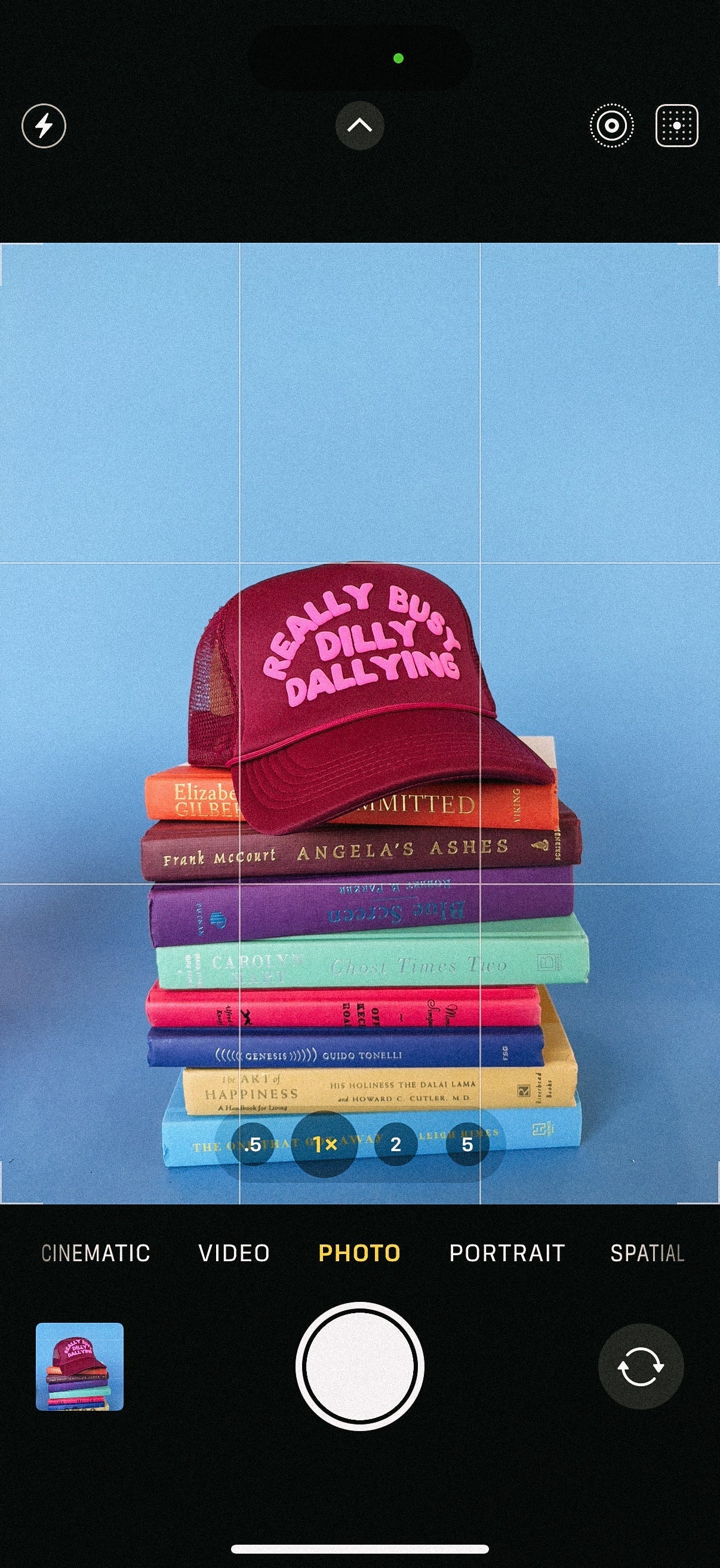 Dilly Dally Trucker Hat - Burgundy / Pink
