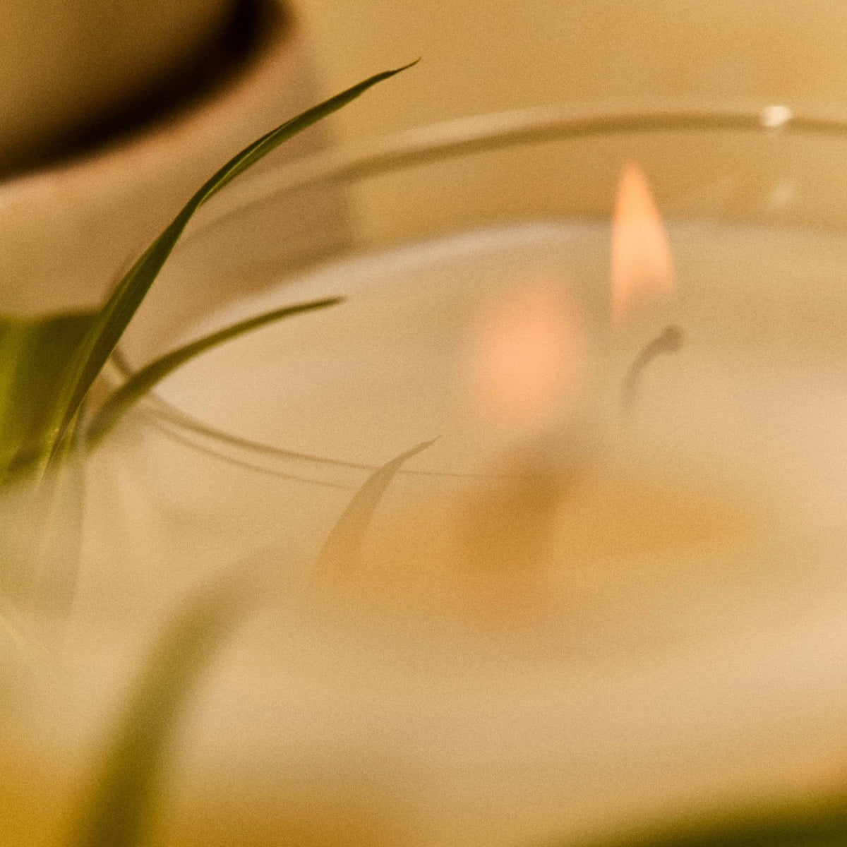 Pandan Spice Latte Candle 8oz. 2