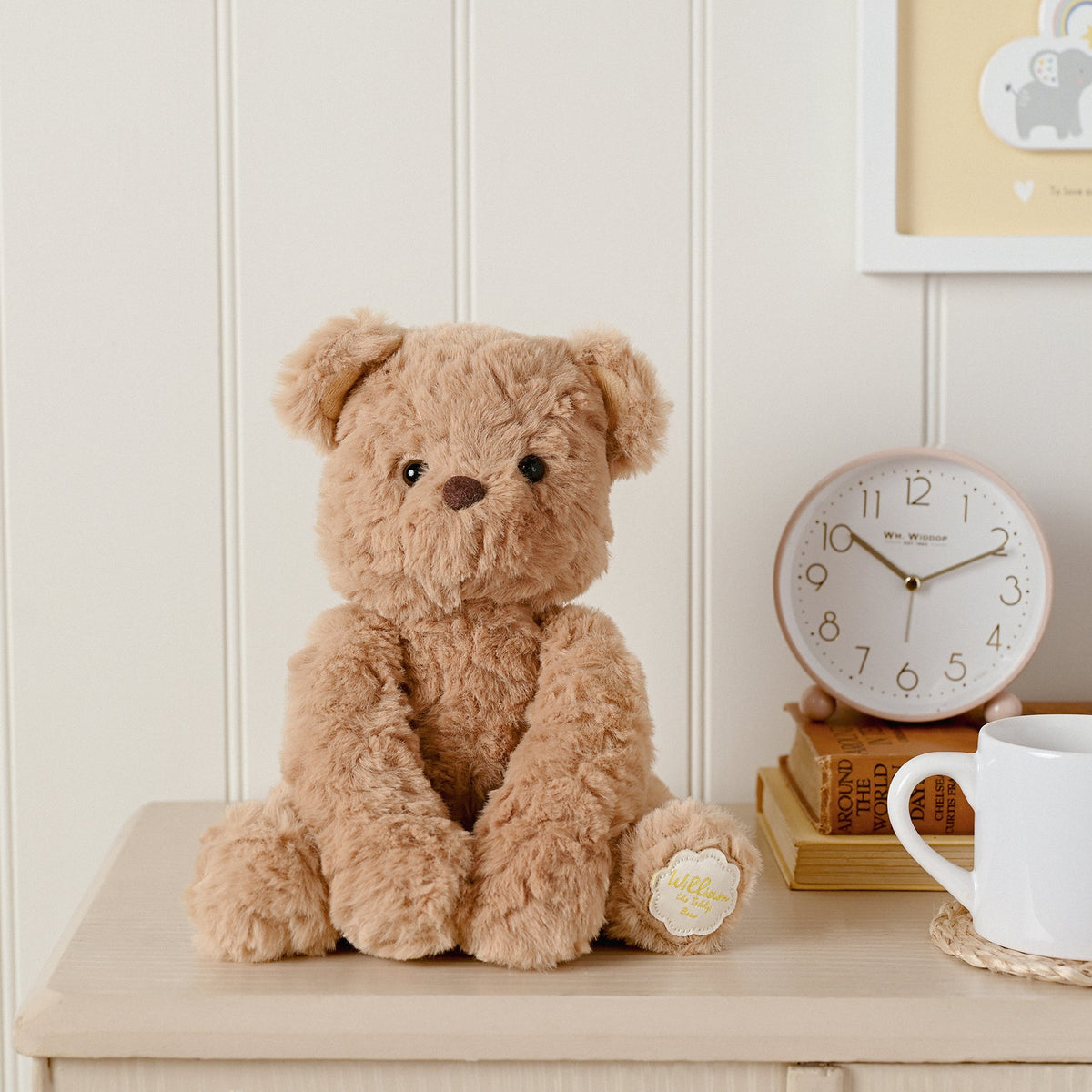 William The Plush Sitting Brown Teddy Bear 9 in 2