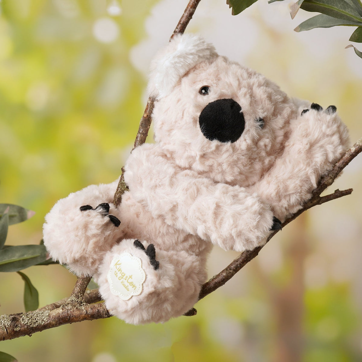 Kingston The Plush Sitting Light Brown Koala Bear 9 in 2