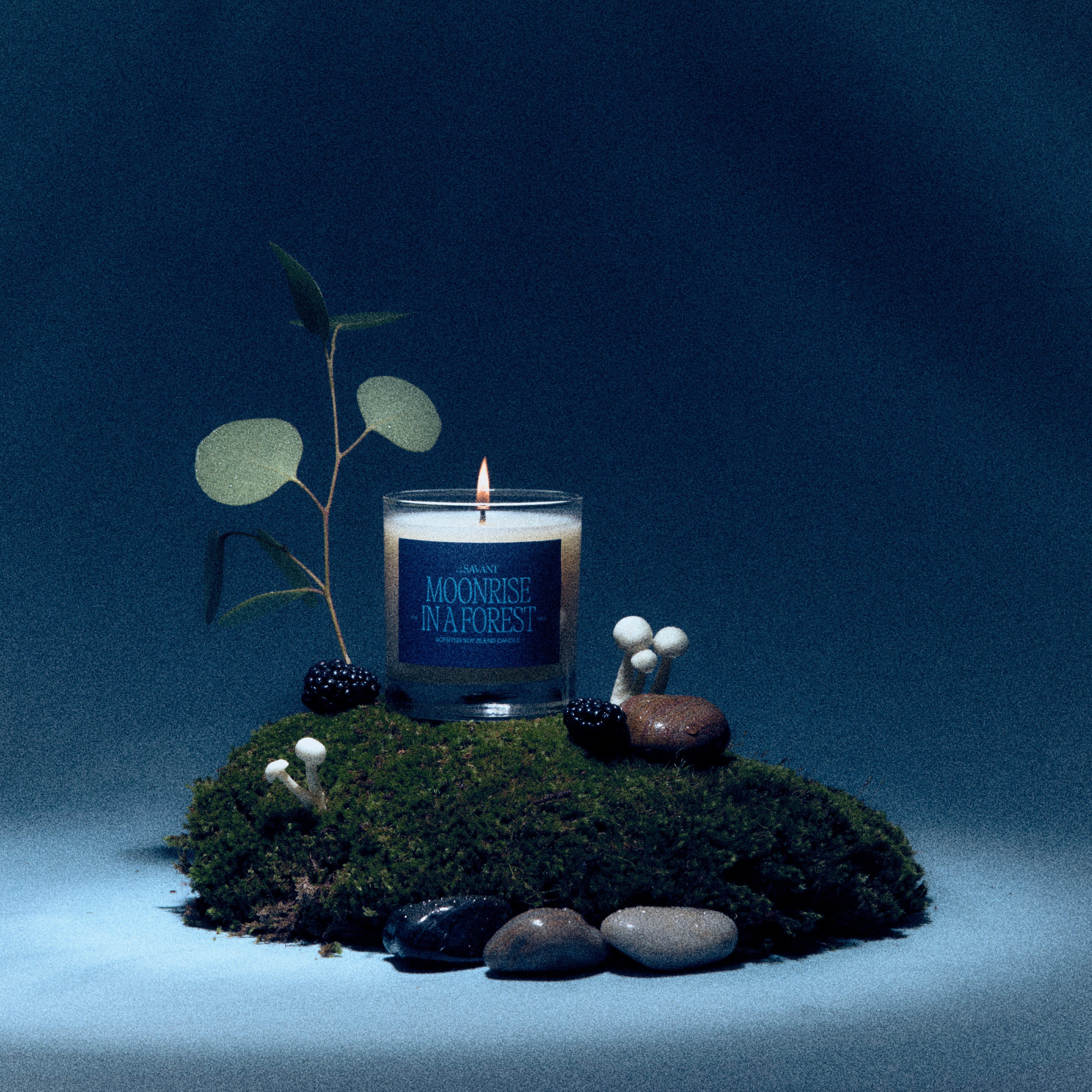 The New Savant Moonrise in a Forest candle